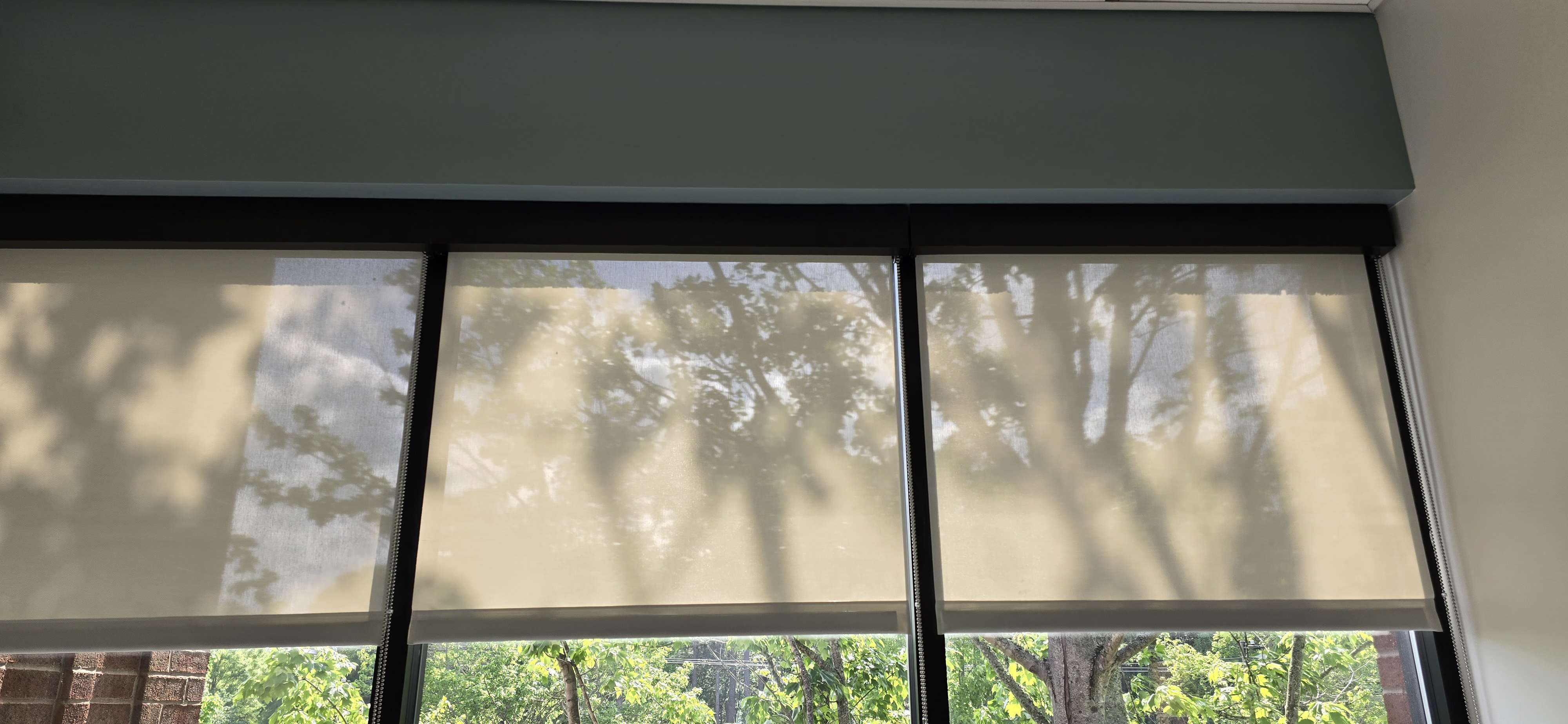 Light-filtering roller shades with a green cornice over a sunlit residential window